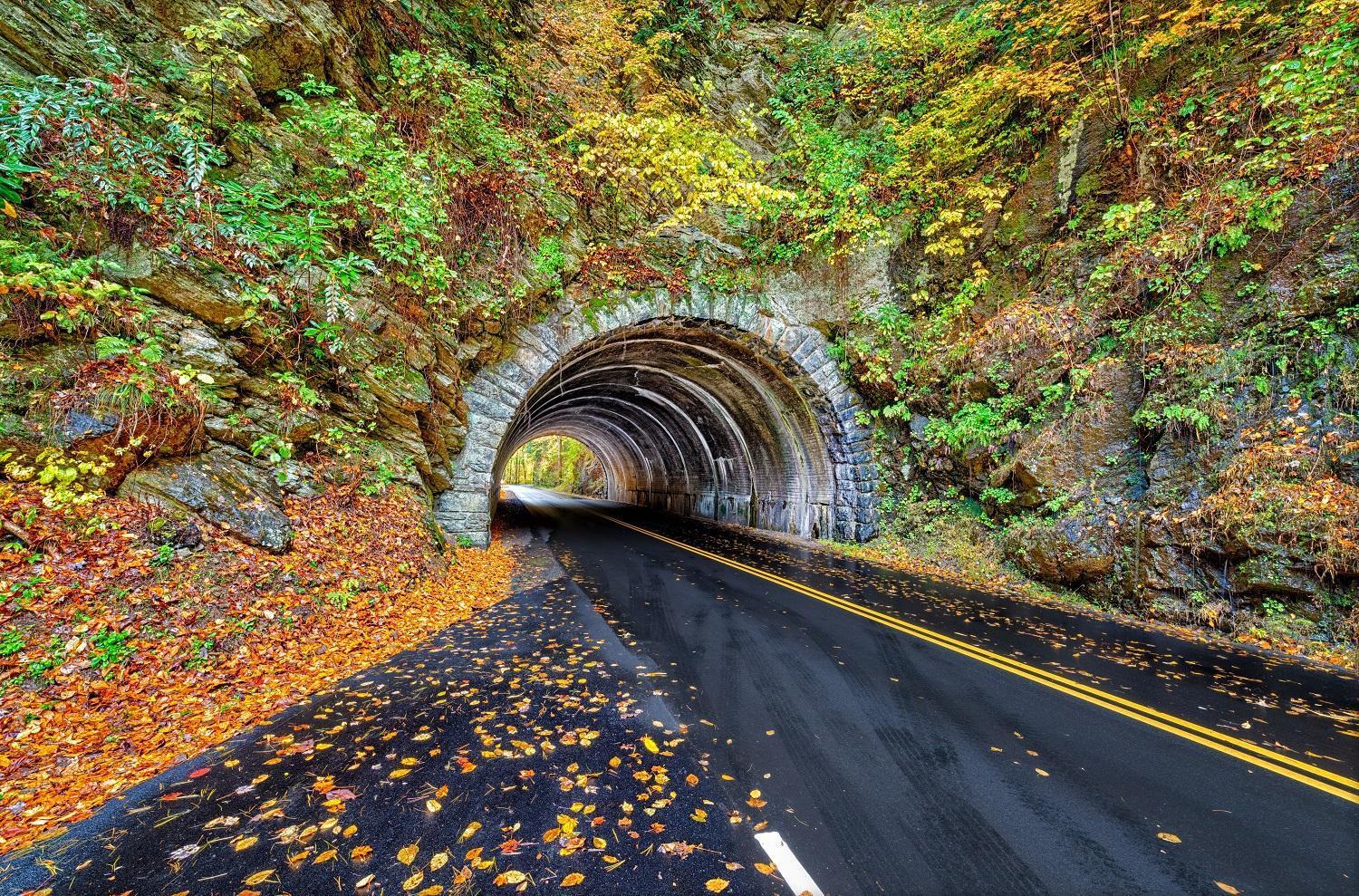 Apple Valley Hideaway, 1089 Of Free Attraction Tickets For Each Paid Day, Dollywood And More! Pigeon Forge Dış mekan fotoğraf