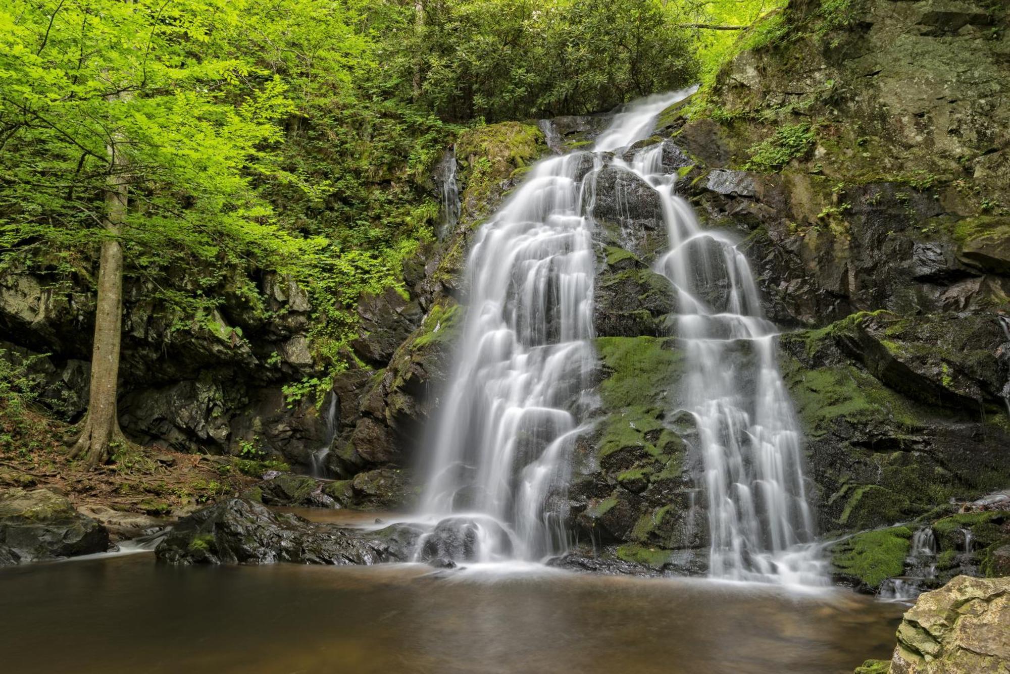 Apple Valley Hideaway, 1089 Of Free Attraction Tickets For Each Paid Day, Dollywood And More! Pigeon Forge Dış mekan fotoğraf